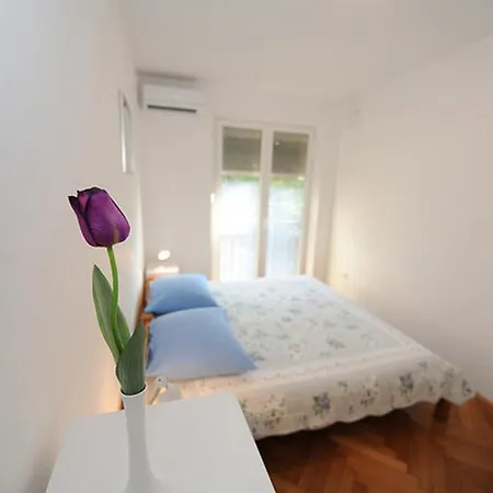 Apartment Maslina *
