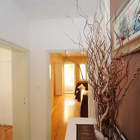 Apartment Maslina Zadar